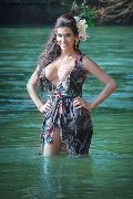 Foto 0033754020142 Transescort Milano Eliana - 18