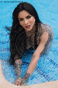 Foto 0034612216651 Transescort Madrid Ts Clary Santos - 12