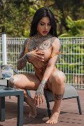 Foto 0034612216651 Transescort Madrid Ts Clary Santos - 10