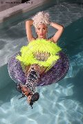 Foto 0034617911341 Transescort Ibiza Nina La Divina - 82