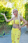 Foto 0034617911341 Transescort Ibiza Nina La Divina - 4