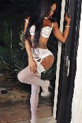 Foto 004915212409124 Trans D�sseldorf Adhara - 63