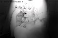 Foto 00491751281117 Trans Francoforte Mary Ts - 7