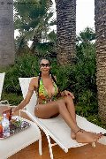 Foto 3387927954 Transescort Reggio Emilia Erotika Flavy Star - 405