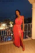 Foto 3387927954 Transescort Reggio Emilia Erotika Flavy Star - 445