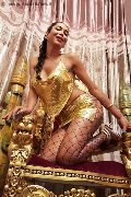 Foto 3387927954 Transescort Reggio Emilia Erotika Flavy Star - 295
