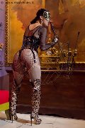 Foto 3396412939 Mistress Madame Dafne - 881