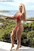 Foto 3446139129 Escort Verona Sophia Hott Xl - 1