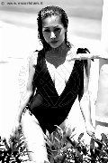 Foto 3489026722 Trans Liisa Asiatica Ladyboy - 382