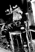 Foto 3508935739 Mistresstrans Legnano Lady Ale Cavallona - 1