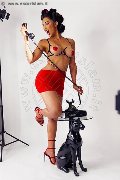 Foto 3515874125 Transescort Brescia Graziella Farias - 46