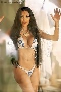 Foto 3518069231 Trans Massa Wanessa Armani - 1
