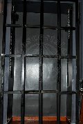 Foto 3662563555 Mistress Roma Lady Paola - 8