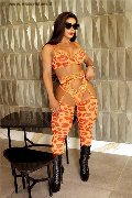 Foto 3713993846 Transescort Ginevra Thalya Cyclone - 5