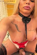 Foto Hot 3293358987 Transescort Bruxelles Nicoly - 2