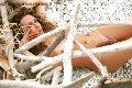 Foto Hot 3518461907 Trans Villa Rosa Giselly Bella - 9