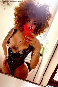 Milano Trans Stella Ricci 329 55 63 971 foto selfie 1