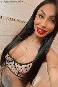 Gallarate Trans Escort Thayys Castro 329 72 89 046 foto selfie 56