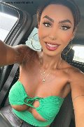 Gallarate Trans Escort Thayys Castro 329 72 89 046 foto selfie 4