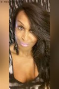 Bra Trans Escort Pantera 333 13 92 426 foto selfie 6