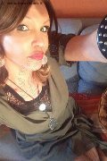 Treviso Trans Valeria 338 87 18 849 foto selfie 717
