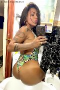 Napoli Trans Escort Jasmine 342 32 03 042 foto selfie 20