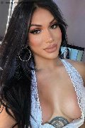 Verona Trans Angel Bunny 347 46 42 611 foto selfie 7