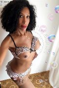 Genova Trans Escort Gisella Evangelista 348 57 51 665 foto selfie 19