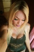 Massa Trans Wanessa Armani 351 80 69 231 foto selfie 123