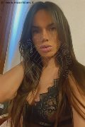 Legnano Trans Escort Jennyfer 388 75 36 127 foto selfie 14