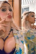 Monza Trans Regina Audrey Italiana 388 98 31 116 foto selfie 205