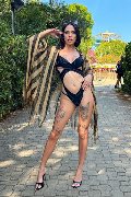 Foto 3382945956 Transescort Verona Nick Miller - 80