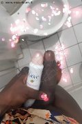 Genova Trans Naomy Xl 329 01 67 932 foto selfie 85