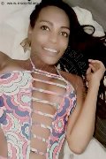 Genova Trans Escort Naomy Xl 329 01 67 932 foto selfie 29