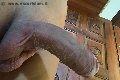 Genova Trans Escort Sofia 347 30 29 531 foto selfie 30