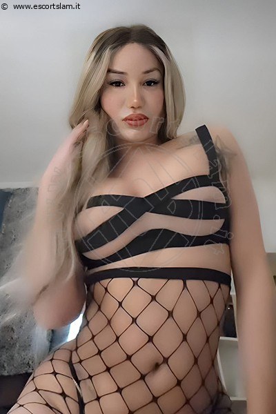 Luna Fox DESENZANO DEL GARDA 3929788126
